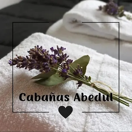 Cabanas Abedul Lago Meliquina Exterior photo